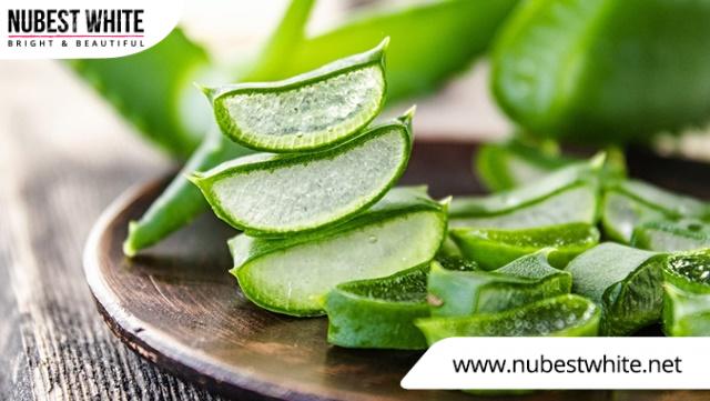 Nha đam giúp kháng khuẩn, chống viêm trị thâm mông do mụn hiệu quả