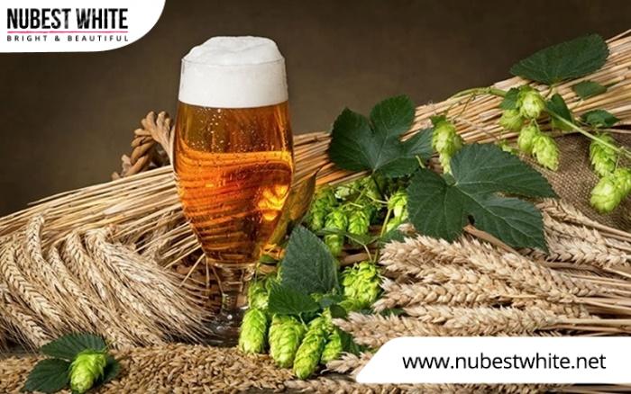 Bia gồm các thành phần chính: Ngũ cốc, hoa bia, nấm men, nước